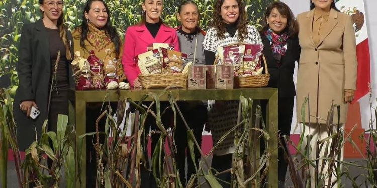 México impulsa programa nacional para rescatar y fortalecer el maíz nativo