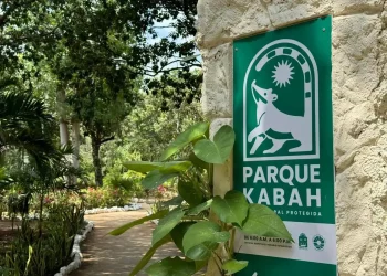 El Parque Kabah evoluciona a selva primaria, un logro ambiental único en Cancún