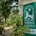 El Parque Kabah evoluciona a selva primaria, un logro ambiental único en Cancún