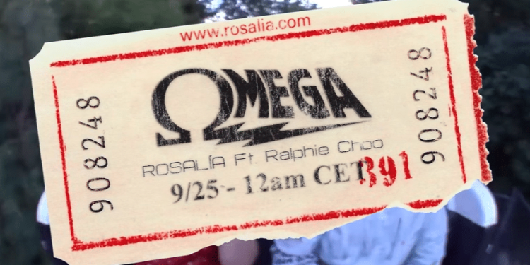 Alerta en Las Choapas: Perro Callejero Infectado con Gusano Barrenador