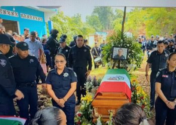 Alerta en Las Choapas: Perro Callejero Infectado con Gusano Barrenador