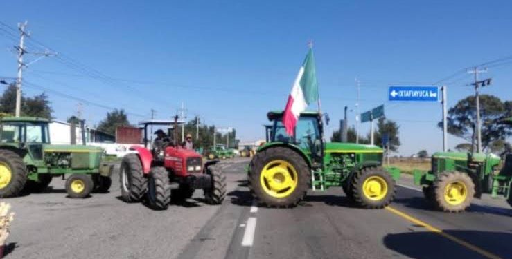 Alerta en Las Choapas: Perro Callejero Infectado con Gusano Barrenador