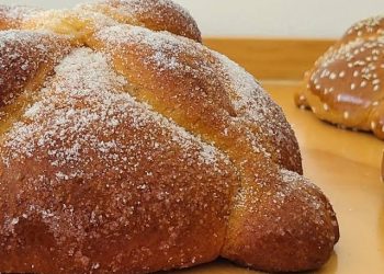 Alerta en Las Choapas: Perro Callejero Infectado con Gusano Barrenador