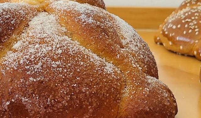 Alerta en Las Choapas: Perro Callejero Infectado con Gusano Barrenador