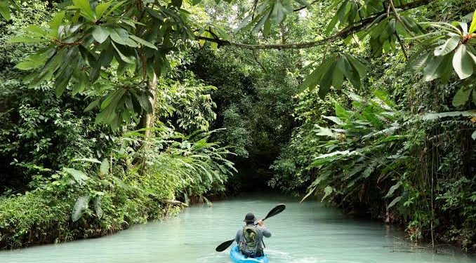 La Sierra de Tabasco: Un Ecosistema en Peligro