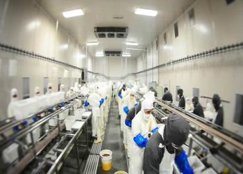 Fátima Bosch Denuncia Violencia por Parte del Presidente de Miss Universo Tailandia