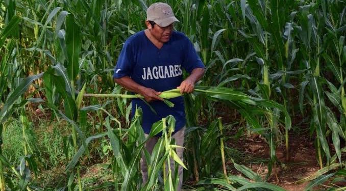 Valentina Murrieta Hace Historia en el Mundial Femenil Sub-17