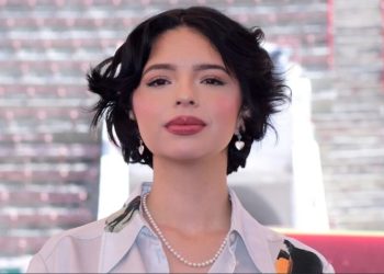 Entrega de Apoyos a Damnificados por Inundaciones en Veracruz y Otros Estados