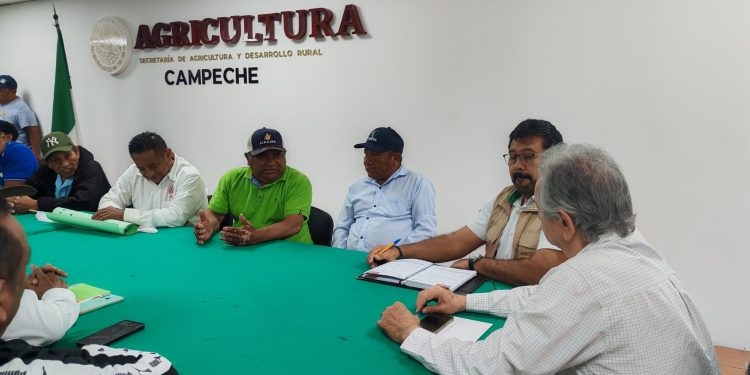 Productores de los Chenes logran acuerdo de 950 pesos por tonelada de maíz