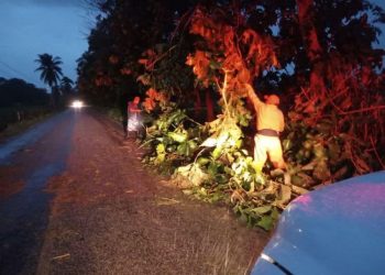 Árboles caídos y encharcamientos dejan lluvias intensas en Tabasco: Protección Civil