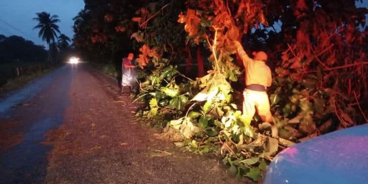 Árboles caídos y encharcamientos dejan lluvias intensas en Tabasco: Protección Civil