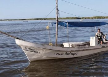 Yucatán ampliará la cuota de pulpo a 32 mil toneladas