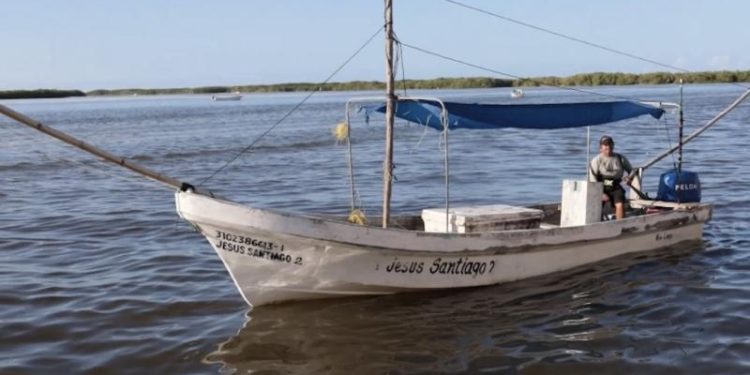 Yucatán ampliará la cuota de pulpo a 32 mil toneladas