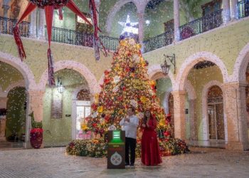 Gobernador Joaquín Díaz Mena enciende el árbol navideño en Palacio de Gobierno