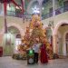 Gobernador Joaquín Díaz Mena enciende el árbol navideño en Palacio de Gobierno