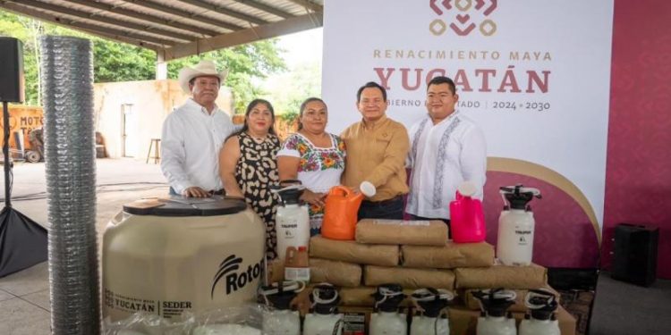 Con apoyos, Gobierno de Yucatán hace renacer el campo