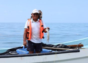 Costa yucateca cierra exitosa temporada de pulpo