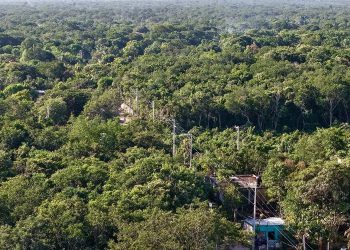 Benito Juárez proyecta 52 obras y una inversión sin precedentes para 2026