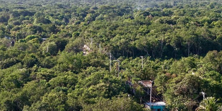 Benito Juárez proyecta 52 obras y una inversión sin precedentes para 2026