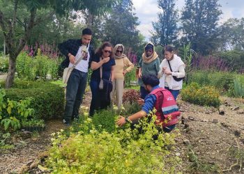 Actividades decembrinas para toda la familia en el Centro de Cultura Ambiental Chapultepec