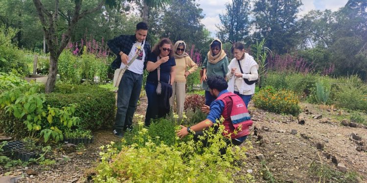 Actividades decembrinas para toda la familia en el Centro de Cultura Ambiental Chapultepec
