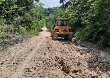 Quintana Roo duplicará construcción de caminos sacacosechas en 2026 para fortalecer al sector primario