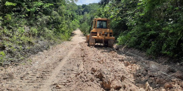 Quintana Roo duplicará construcción de caminos sacacosechas en 2026 para fortalecer al sector primario