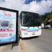 Inicia este fin de semana la “Ruta Mar”, transporte gratuito a playas para familias de Cancún