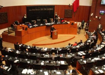 Senado aprueba freno al uso de imagen de menores en promoción escolar