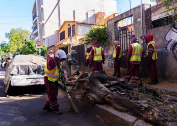 Reportan deceso en CDMX tras sismo en Guerrero