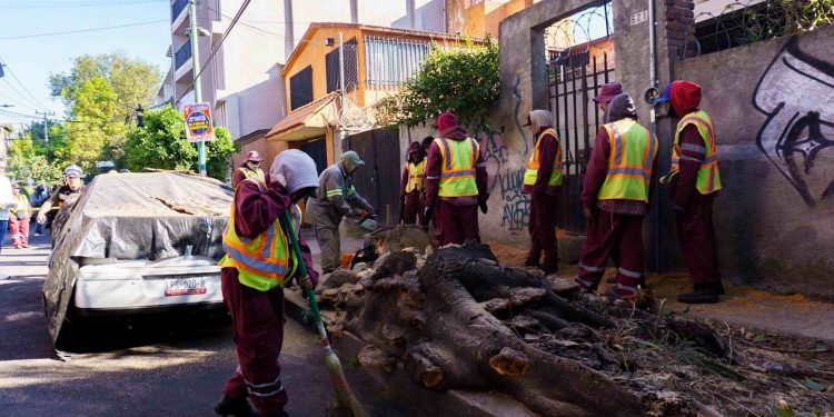 Reportan deceso en CDMX tras sismo en Guerrero