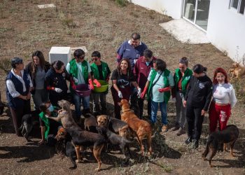 Refugio Franciscano alcanza nuevos acuerdos con el Gobierno de la CDMX tras desalojo