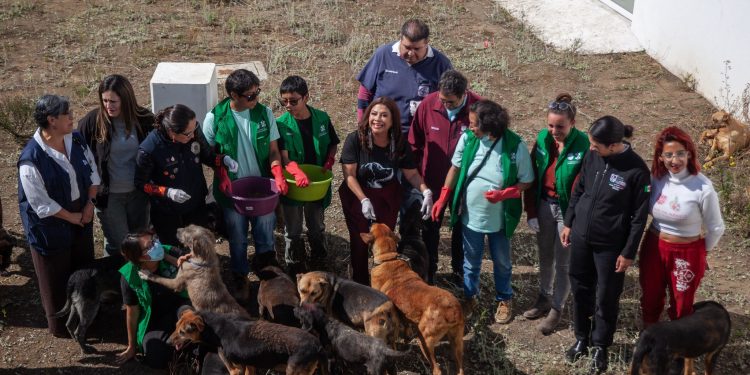 Refugio Franciscano alcanza nuevos acuerdos con el Gobierno de la CDMX tras desalojo
