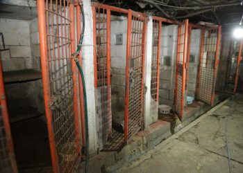 Con fotos y videos, la jefa de Gobierno expone las condiciones en que vivían los animales en el Refugio Franciscano, y cuestiona el que animalistas defiendan esos hechos