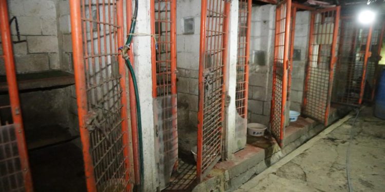 Con fotos y videos, la jefa de Gobierno expone las condiciones en que vivían los animales en el Refugio Franciscano, y cuestiona el que animalistas defiendan esos hechos