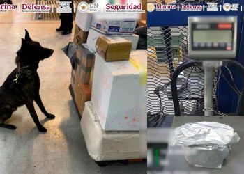 Aseguran un kilo de fentanilo en el AICM con valor estimado en 20 millones de dólares