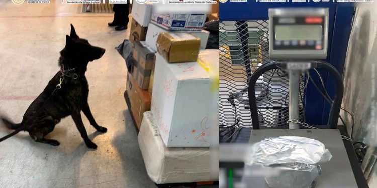 Aseguran un kilo de fentanilo en el AICM con valor estimado en 20 millones de dólares