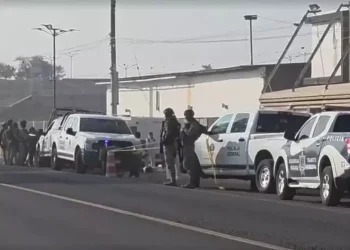 Hallan cuerpos desmembrados en Cuitzeo, Michoacán