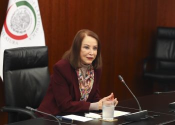 Sin consensos, la Reforma Electoral no avanzará: Laura Itzel Castillo