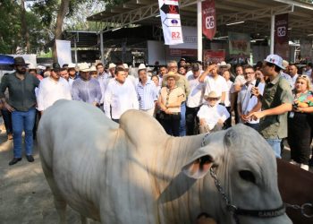 Inician trabajos para construir nueva pista de calificación ganadera en el Parque Tabasco
