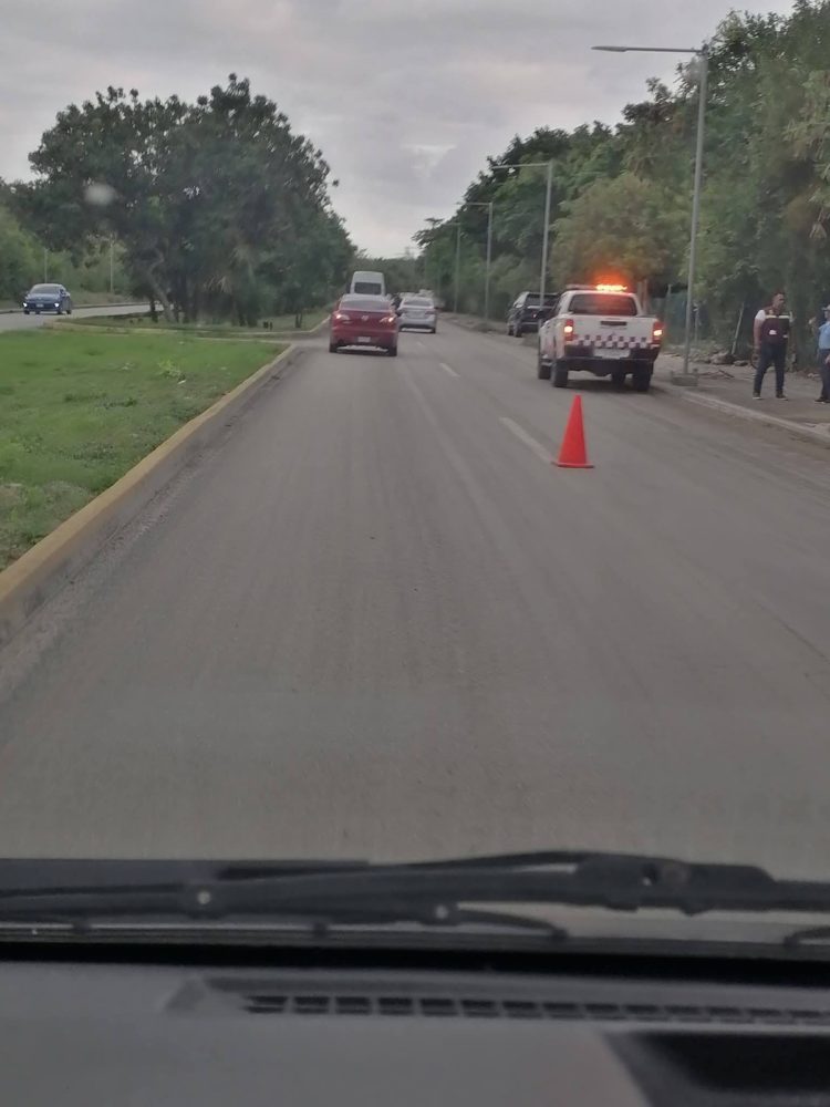 Nido de corrupción y extorsiones, IMOVEQROO y MOBI un negocio más de la #MafiaVerde en el poder