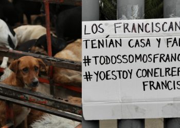 Protestas exigen devolver predio al Refugio Franciscano y denuncian muerte masiva de animales en CDMX