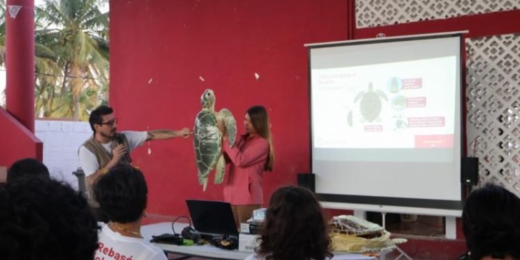 SDS fortalece preparación del voluntariado previo a la temporada de anidación de tortugas marinas