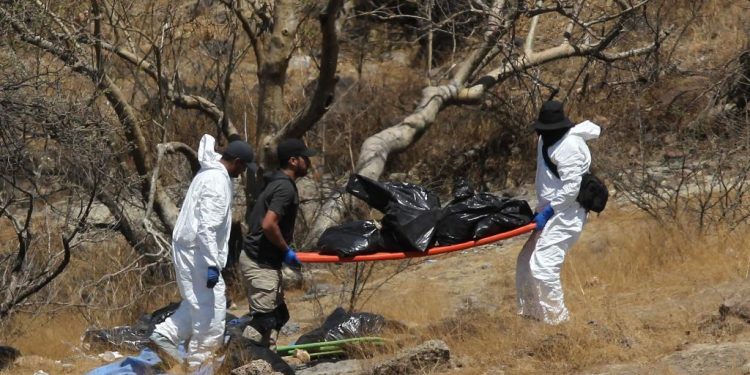 Hallan seis restos humanos en Paraíso