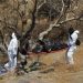 Hallan seis restos humanos en Paraíso