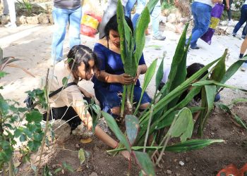 Preparan segunda etapa de “Arboriza Cancún” en 15 escuelas