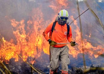 Quintana Roo refuerza combate a incendios forestales con tecnología de monitoreo móvil
