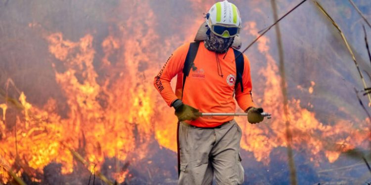 Quintana Roo refuerza combate a incendios forestales con tecnología de monitoreo móvil