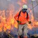 Quintana Roo refuerza combate a incendios forestales con tecnología de monitoreo móvil