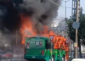 Suspenden transporte público en Jalisco tras operativo federal en Tapalpa